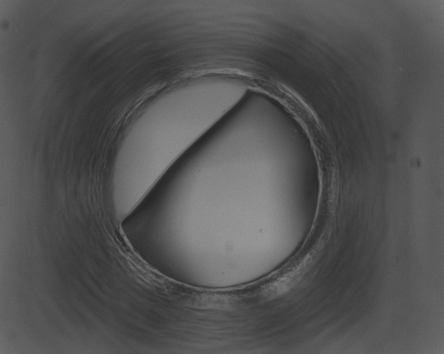 X0000081580777200701150959