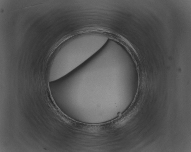 X0000081580778200701150959