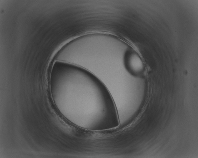X0000081580787200701150959