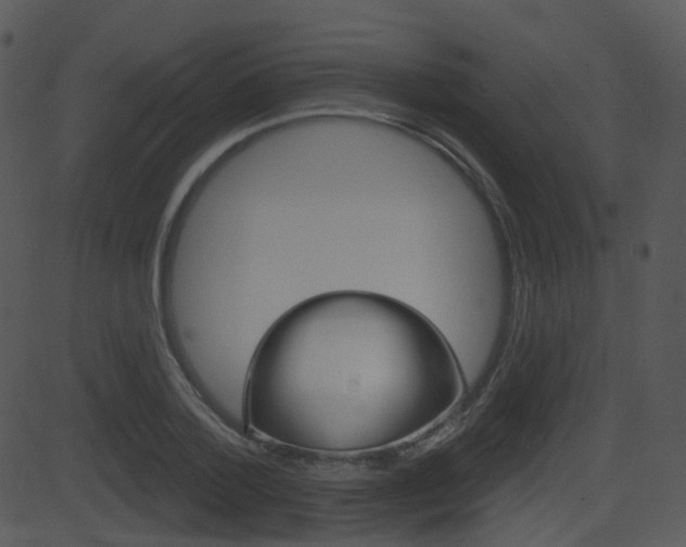X0000081580788200701150959