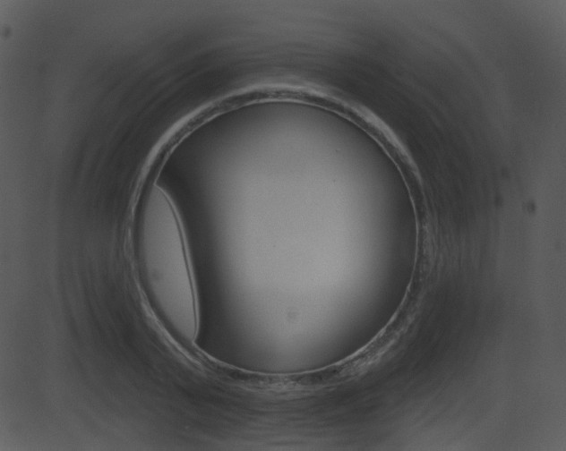 X0000081580791200701150959