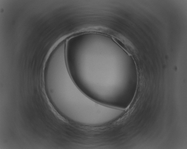 X0000081580792200701150959