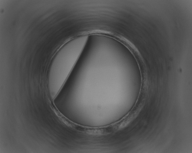 X0000081580793200701150959