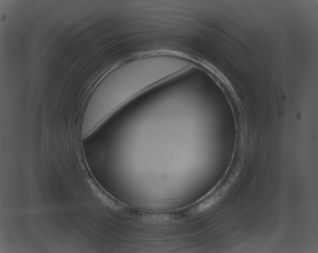 X0000081580801200701150959