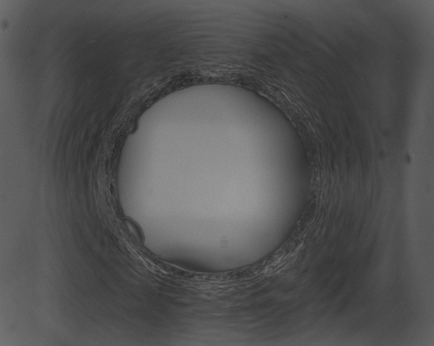 X0000081580817200701150958