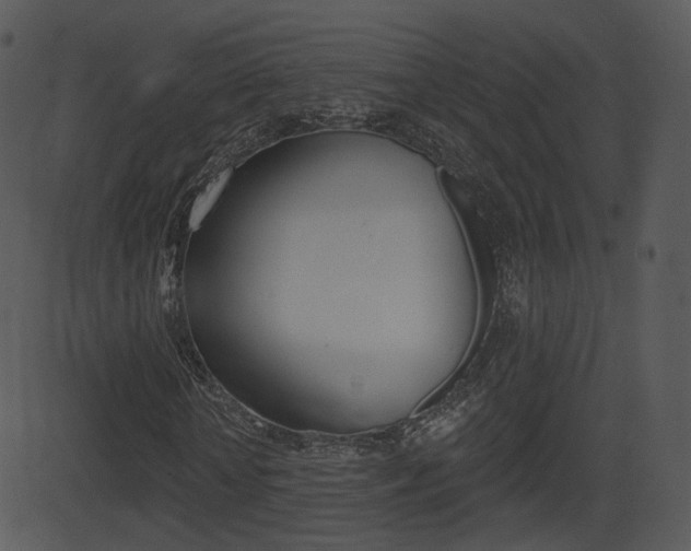 X0000081580818200701150958