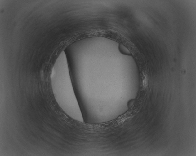 X0000081580819200701150958