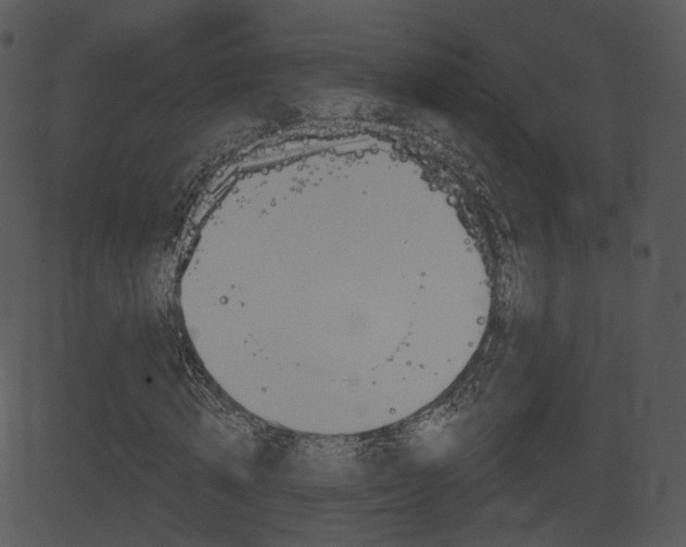 X0000081580820200701150958