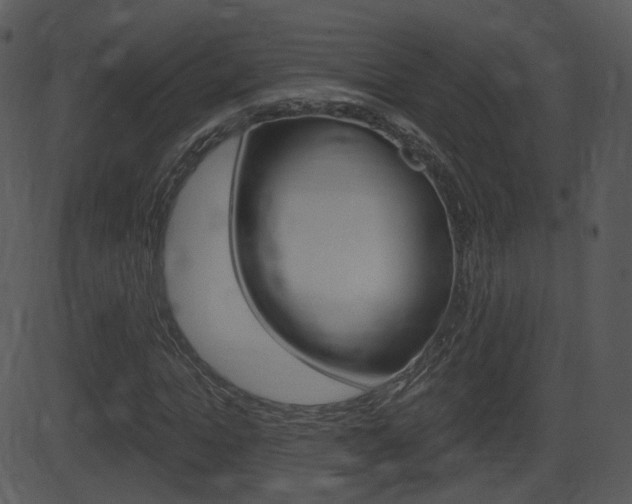 X0000081580822200701150958