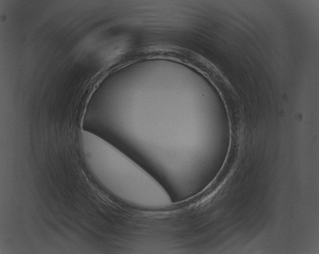 X0000081580825200701150958