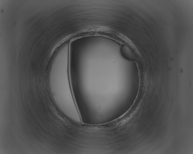 X0000081580826200701150958