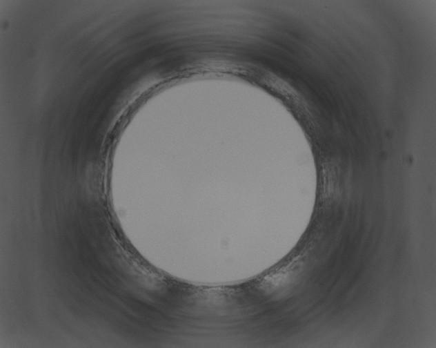 X0000081580828200701150958