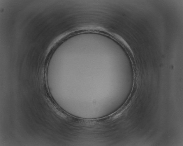 X0000081580831200701150958