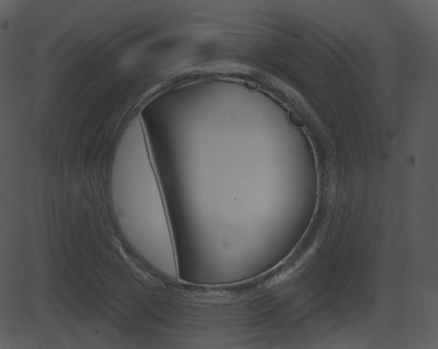 X0000081580833200701150958