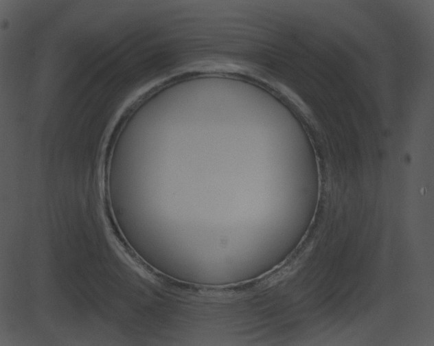 X0000081580840200701150958