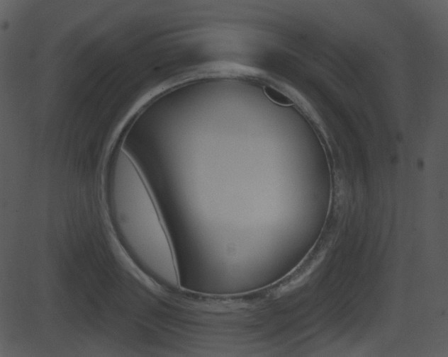 X0000081580843200701150958