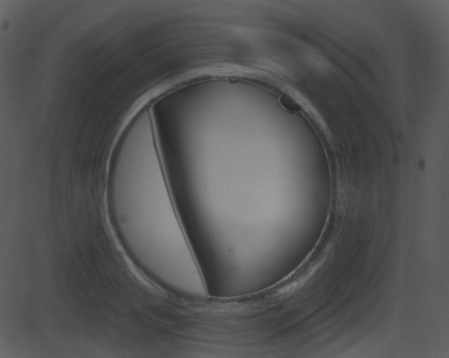 X0000081580845200701150959