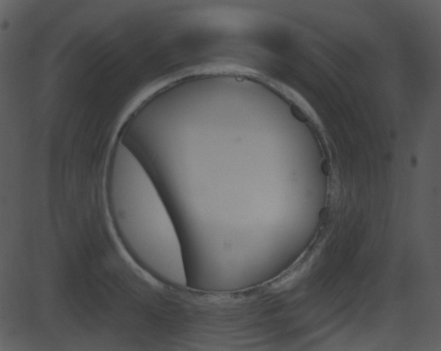 X0000081580847200701150959