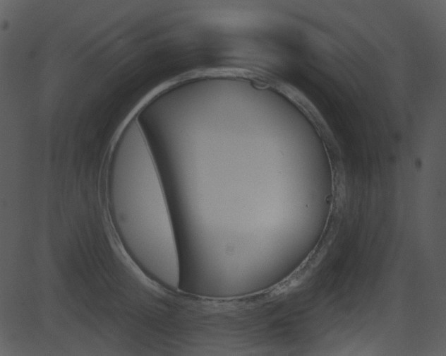 X0000081580852200701150959