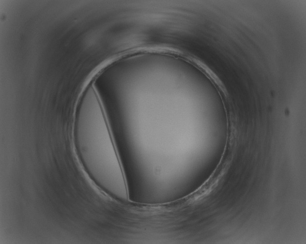 X0000081580853200701150959
