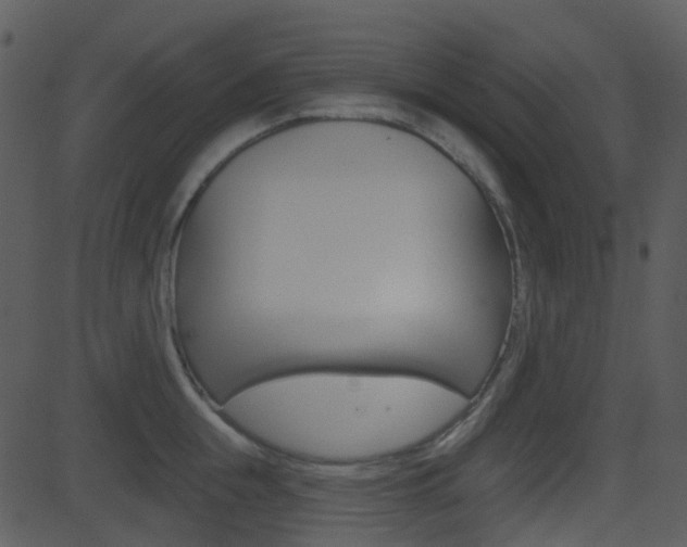 X0000081580855200701150959