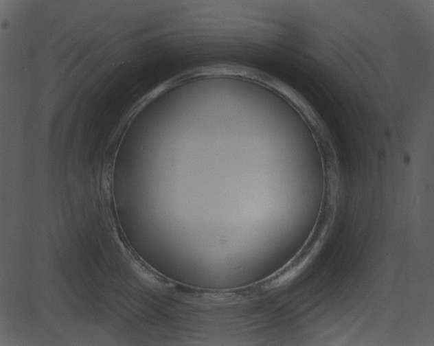 X0000081580857200701150959