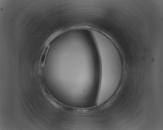 X0000081580858200701150959