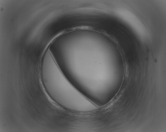 X0000081580861200701150959