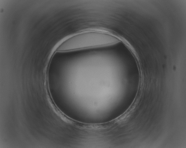 X0000081580862200701150959