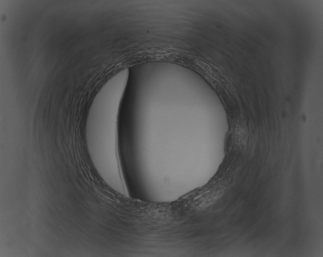 X0000081580865200701150958