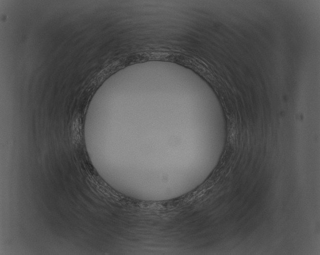 X0000081580866200701150958