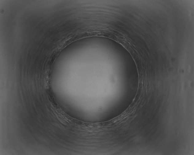 X0000081580868200701150958