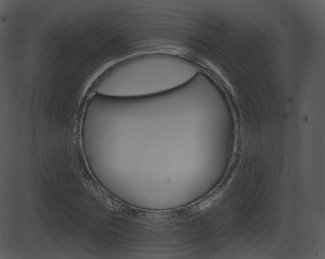 X0000081580875200701150958