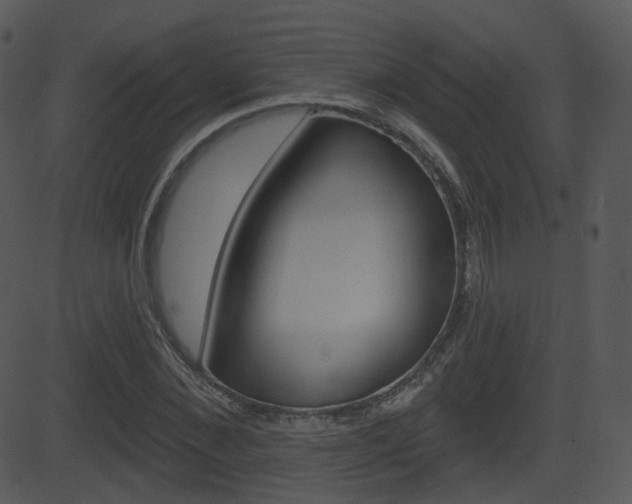 X0000081580876200701150958