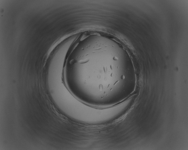 X0000081580877200701150958