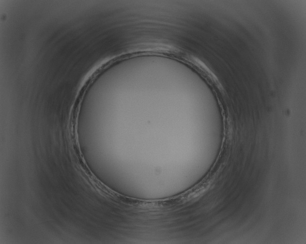 X0000081580883200701150958