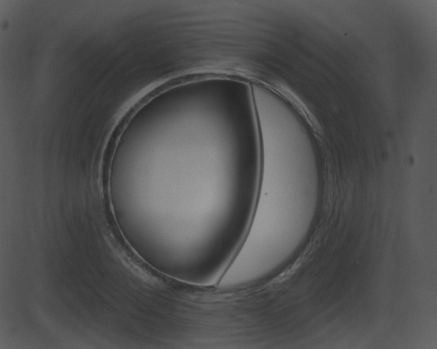 X0000081580884200701150958