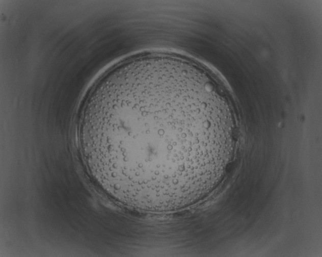 X0000081580887200701150958