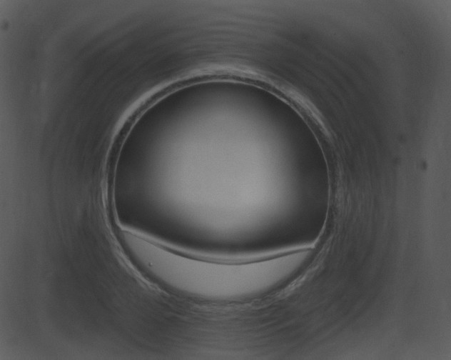 X0000081580888200701150958