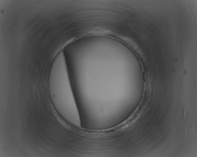 X0000081580889200701150958
