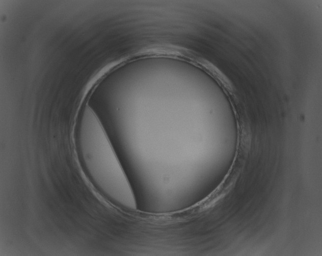 X0000081580893200701150958