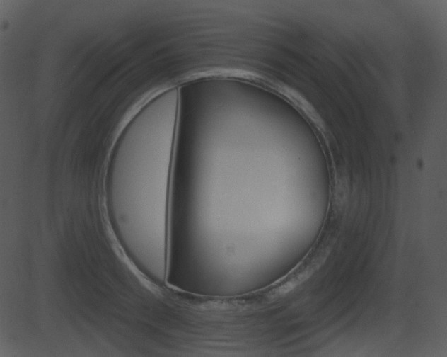 X0000081580898200701150957