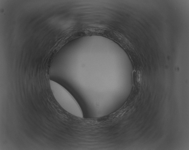 X0000081580915200701150957