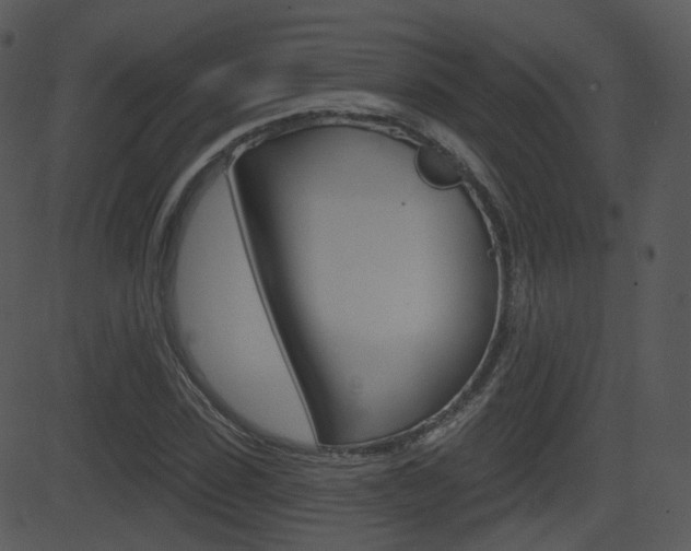 X0000081580923200701150957