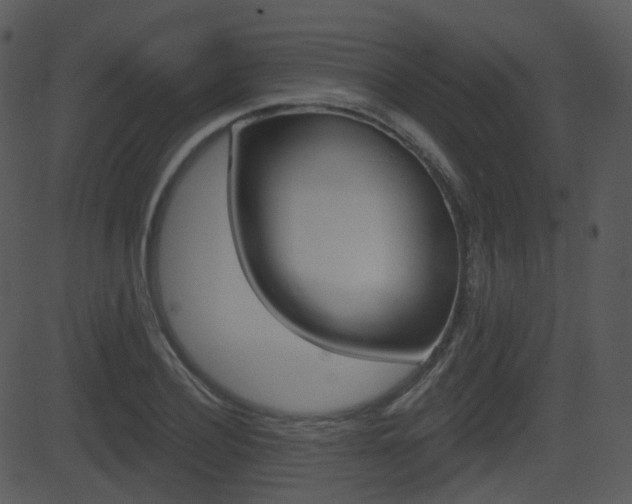 X0000081580932200701150957