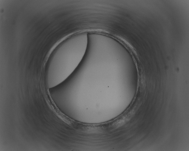 X0000081580933200701150957