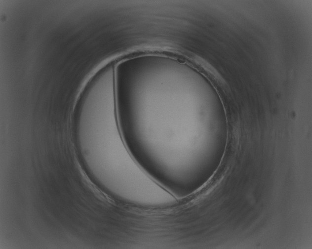 X0000081580934200701150957