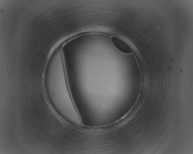 X0000081580936200701150957