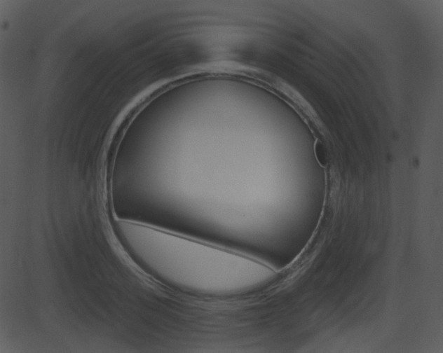 X0000081580939200701150957