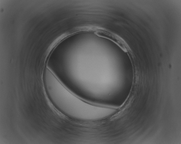 X0000081580946200701150957